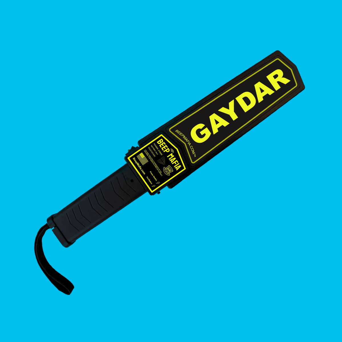 World'S First Gaydar