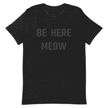 Unisex Staple T Shirt Black Heather Front 68F415877B758 Unisex Staple T Shirt Black Heather Front 68F415877B758